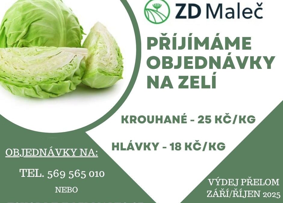 Nabídka zelí