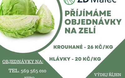PRODEJ ZELÍ 2026