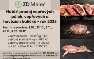 Vepřové a hovězí balíčky