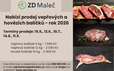 Vepřové a hovězí balíčky