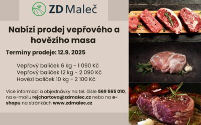 Vepřové a hovězí balíčky
