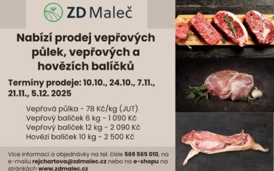 Vepřové a hovězí balíčky