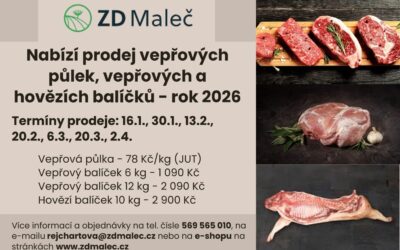 Vepřové a hovězí balíčky